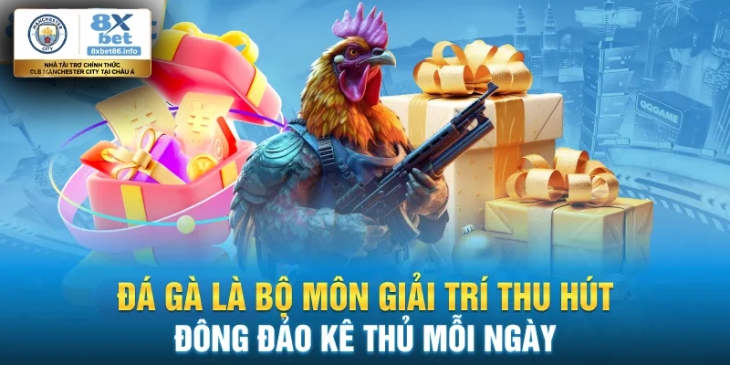 Hình thức đặt cược vào chiến kê hấp dẫn trên hệ thống